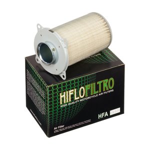Filtre à air HIFLOFILTRO - HFA3909